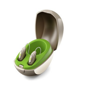 Paradise Mini Charger Case